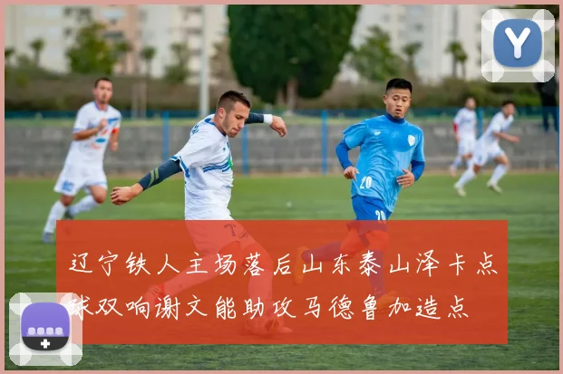 辽宁铁人主场落后山东泰山泽卡点球双响谢文能助攻马德鲁加造点